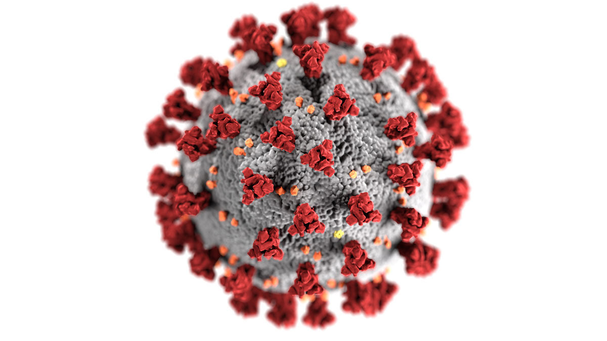 YOUR NEED TO KNOW GUIDE ON COVID-19